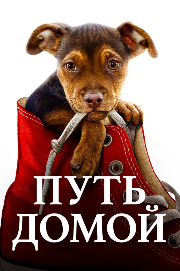 /uploads/posts/2026-07/1100959_1783250821.webp
