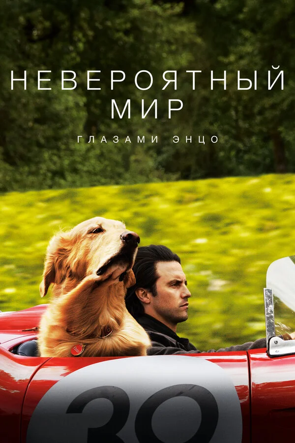  Невероятный мир глазами Энцо (2019)