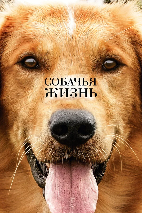  Собачья жизнь (2017)