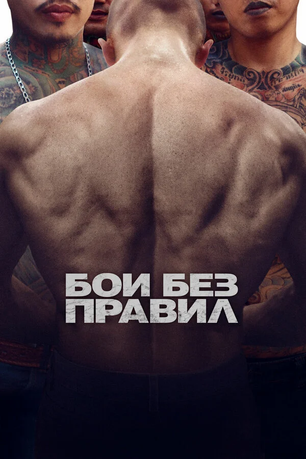  Бои без правил (2017)